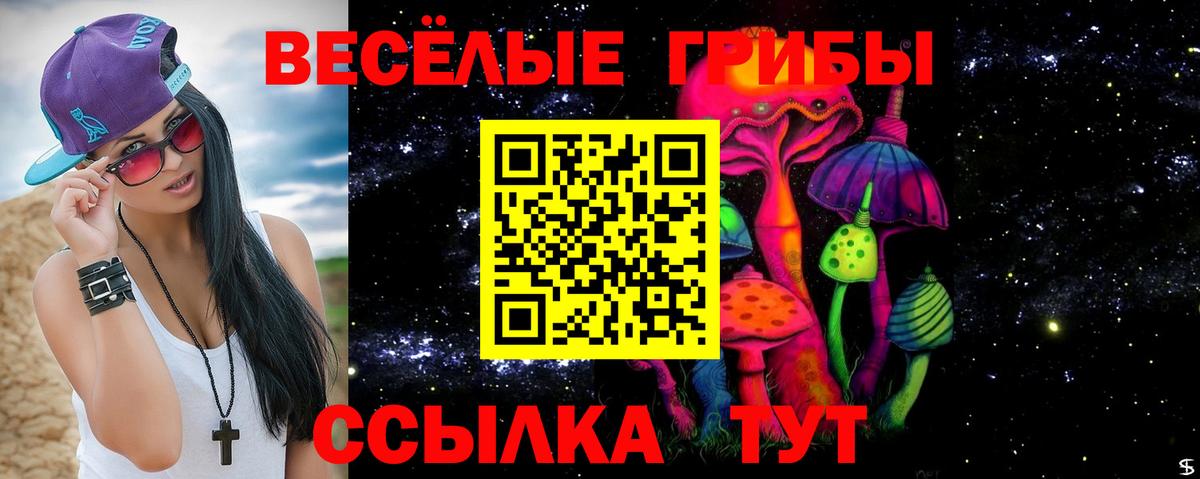 Галлюциногенные грибы GOLDEN TEACHER Зима
