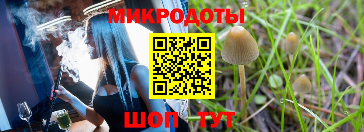 Зима  Псилоцибиновые грибы Psilocybine cubensis  Галлюциногенные грибы Psilocybine cubensis  Вход с VPN 