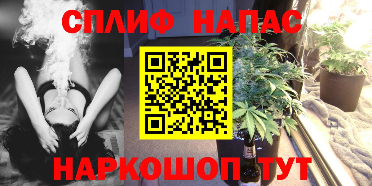 Конопля OG Kush Зима